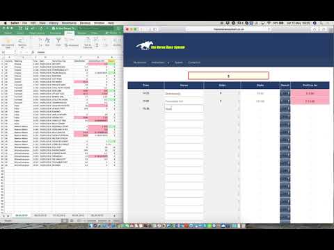 The Horse Race System