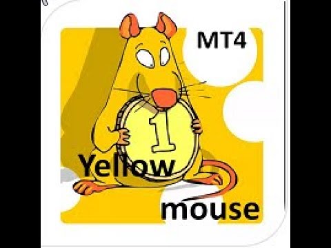 Video Yellow mouse scalping MT5