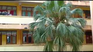 Download lagu Viral pelajar kejar monyet sekali dia bawak geng lintang pukang lari mp3 Download lagu Viral pelajar kejar monyet sekali dia bawak geng lintang pukang lari mp3