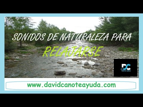 Sonidos de la Naturaleza: Agua, Pájaros y Mar para Relajación, Meditación, Dormir y Estudiar