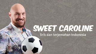 Download lagu Tyson Fury - Sweet Caroline (lagu supporter) lirik dan terjemahan  mp3