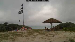 Hidden Treasure Webcam - November 27, 2011