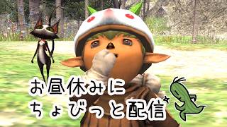 【昼休みFF11】七夕の笹と鉢植えを増やしました！ (*ˊᵕˋ*)