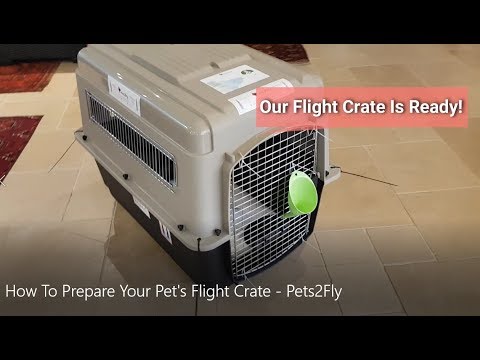 How To Prepare Your Pet's Flight Crate - Pets2Fly - Pet Travel