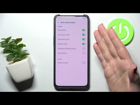 Mange your sounds on Oppo Reno 10X Zoom / How to Find & Manage Sound Settings on Oppo Reno 10X Zoom