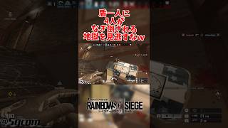 【R6S】これだからシージってやつはｗ盾一人に4人がなぎ倒される瞬間ｗ　#r6siege #r6s