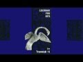 The Legendary Pink Dots - Premonition 16 (Horst 1987)