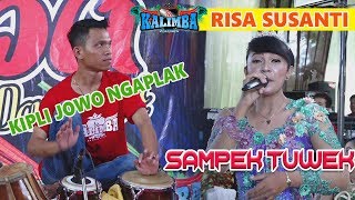 Download lagu SAMPEK TUWEK - RISA SUSANTI - CS KALIMBA MUSIK - LIVE GLEDEK KARANGANOM KLATEN mp3