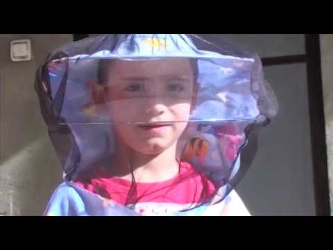 Boja meda ep.46 22.01.2019. - Značaj pčela u starosloslovenskoj mitologiji...