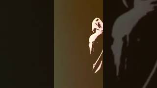 Tetancion -sin boy ft Rina (official video clip)