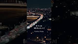 【東京】#首都高速 #隅田川 #のだくみこ #tokyonightview