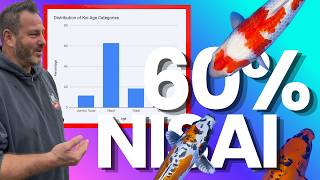 🎏 HUGE KOI AUCTION TONIGHT! Nisai Tancho, Ginrin Showa & Rare Aoki Var