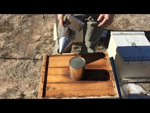 download lagu mp3 mp4 How Much Space Do You Need To Keep Bees, download lagu How Much Space Do You Need To Keep Bees gratis, unduh video klip How Much Space Do You Need To Keep Bees