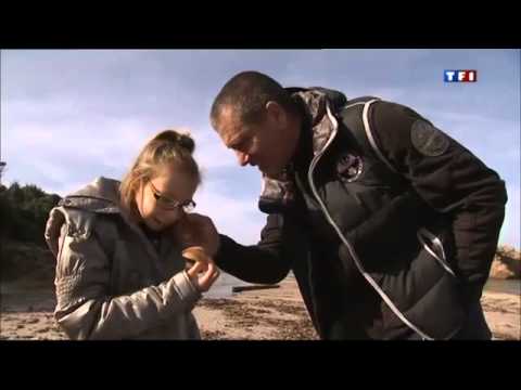 Pascal Olmeta tf1 au jounal de 13 heures