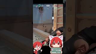 【神回】初心者4日目で初連続キルきたｗ【Valorant】
