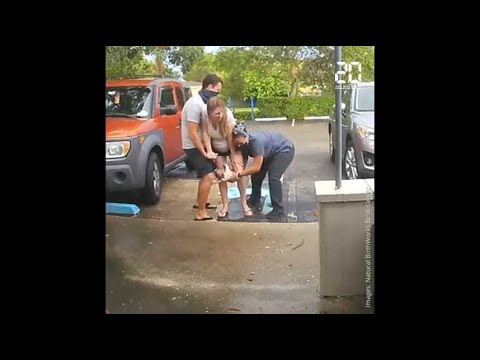 Etats-Unis: Une femme accouche sur le parking d'une maternité
