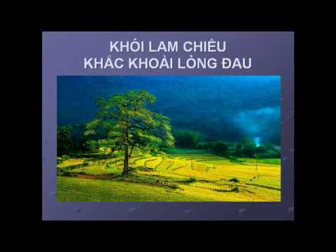 Nỗi lòng người viễn xứ - Lưu Chí Vỹ