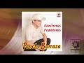 Pancho Barraza - Tu Abandono (Official Visualizer)