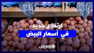 بعد فترة انخفاض.. أسعار البيض تقفز مجدداً وتجبر المستهلكين على تقليص الاستهلاك thumbnail
