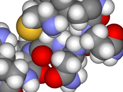 LOVEの価値はいくらなのか？ (How Much Money is LOVE Worth?)