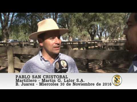 30-11-16 Nota Pablo San Cristobal - Martin G. Lalor S.A. - B. Juarez.