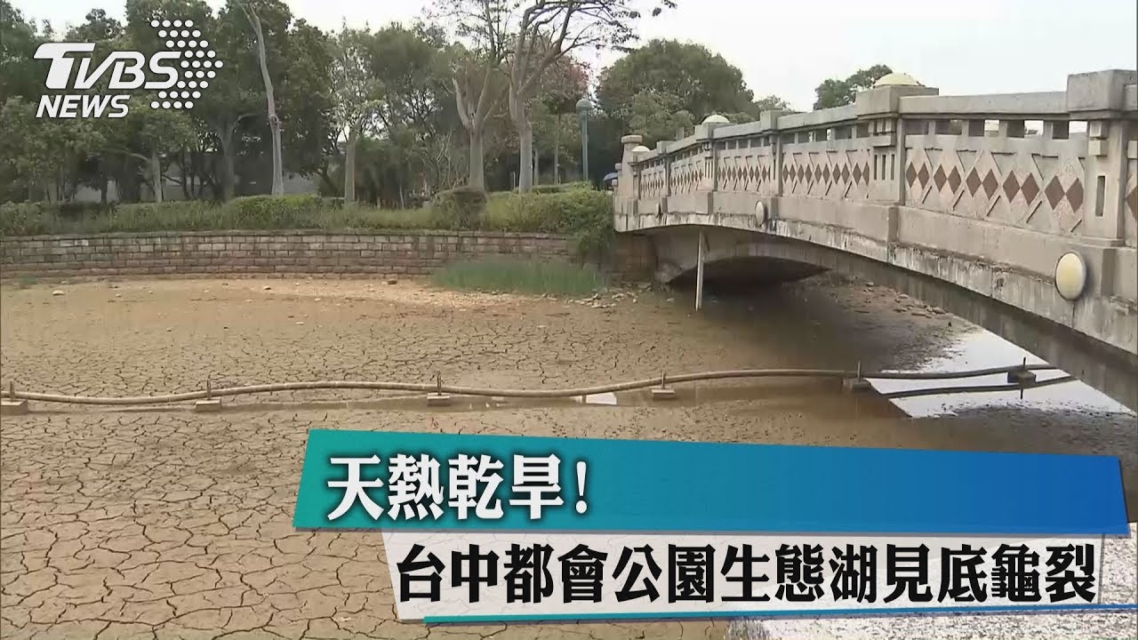 天熱乾旱! 台中都會公園生態湖見底龜裂