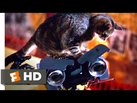 Short Circuit 2 (1988) - Prompting Love Scene (6/10) | Movieclips