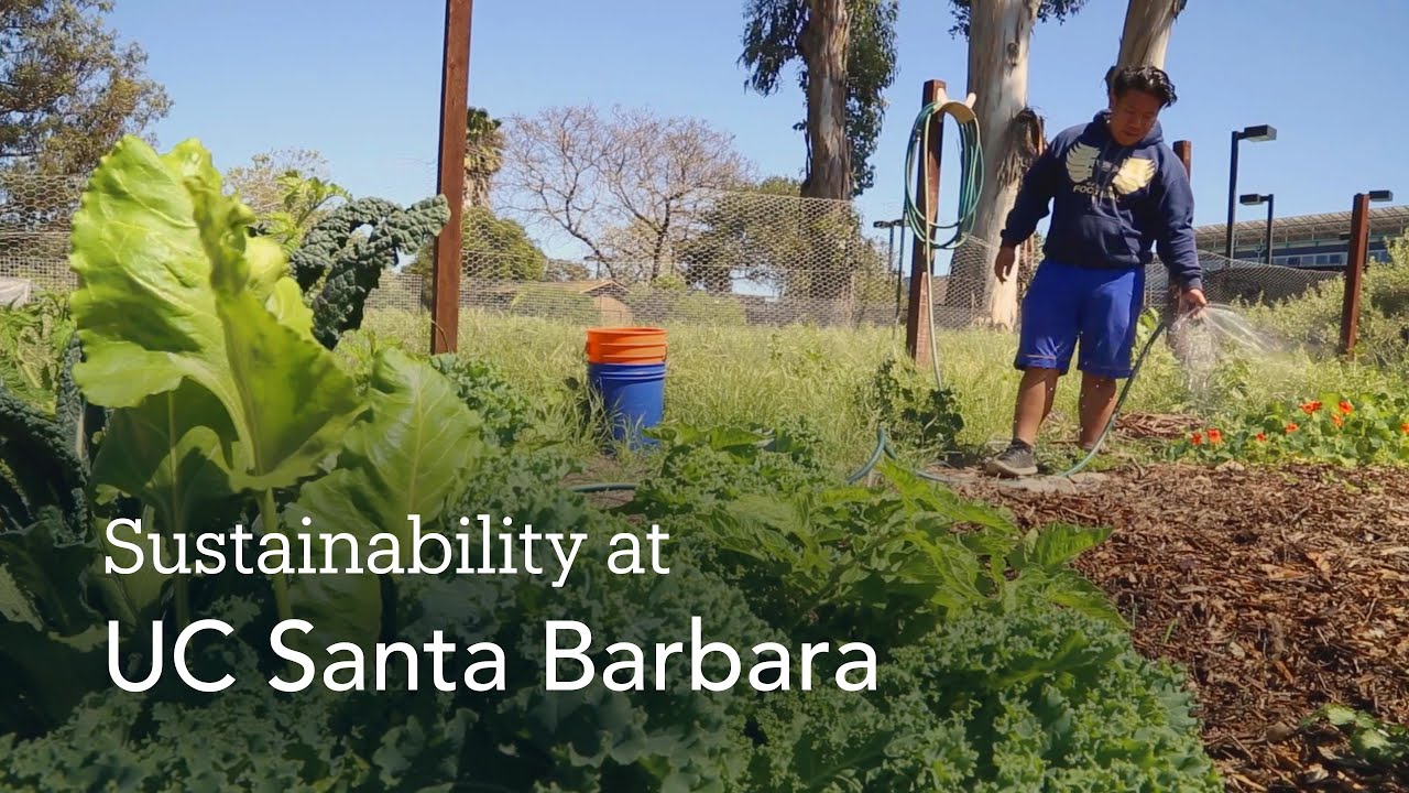 Sustainability at UC Santa Barbara