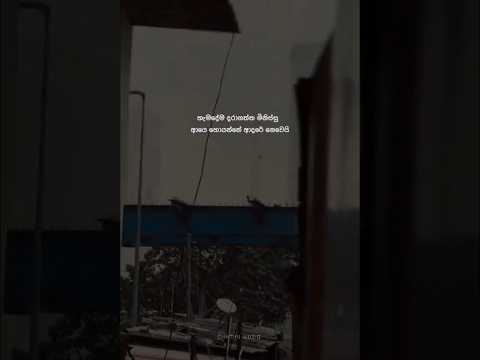 C H A T H U   M U S I C  🦋' #short #love #music #vadan #status #song #feeling #viralvideos