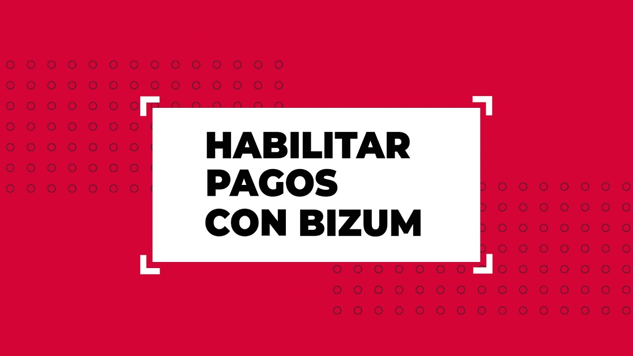 Habilita pagos con Bizum en tu Tienda Online Palbin