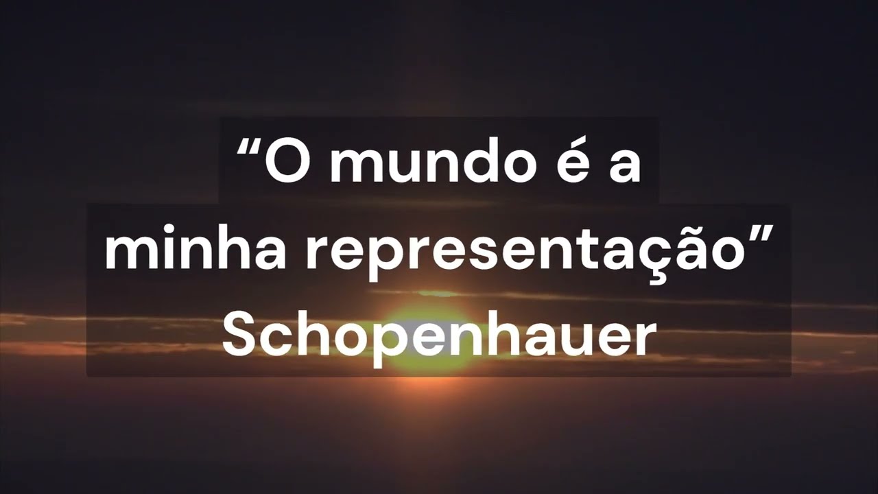 “O mundo é a minha representação” Schopenhauer
