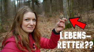 🍄Lebensretter?☠️Ist das DER heilkräftigste Pilz für Survival und lebensbedrohliche Krankheiten?😷