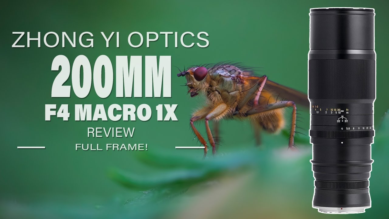 Video thumbnail for Video Review 1
