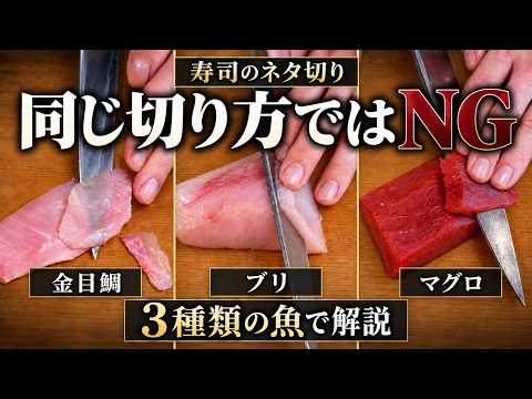 【寿司のネタ切り】すべて同じ切り方ではダメ｜マグロ・ブリ・金目鯛で実演解説