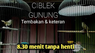 Download lagu CIBLEK GUNUNG TARUNG ADU SPEED RAPAT 8.30 MENIT LEBIH TANPA HENTI NGEBRENNN mp3 Download lagu CIBLEK GUNUNG TARUNG ADU SPEED RAPAT 8.30 MENIT LEBIH TANPA HENTI NGEBRENNN mp3