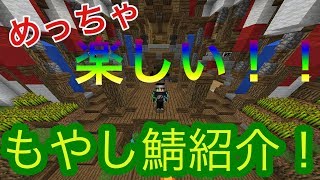【マイクラpe 】もやし鯖紹介！めっちゃ面白い！