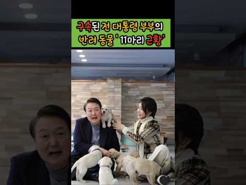 170만뷰🎉 전 대통령 부부 구속 후 남겨진 반려동물 11마리? #강아지 #윤석열 #김건희