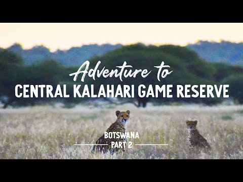Suzuki Jimny - Central Kalahari Game Reserve | Adventure to Botswana - Part 2