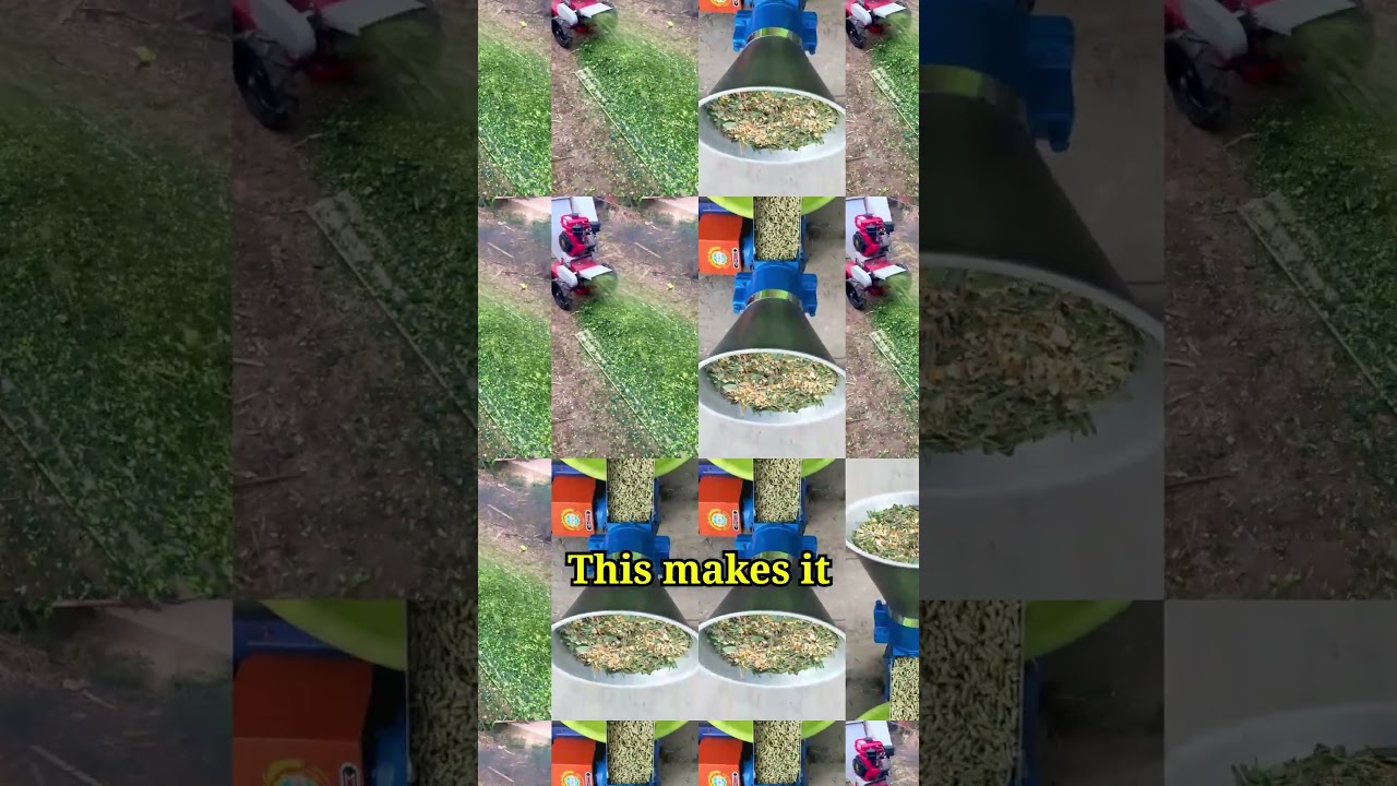 Amazing Straw Chopping Machine | Turns Straw into Energy & Animal Feed