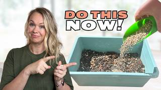 Growing Plants Like It's 2026 | Climate-Proofing My Plants!
