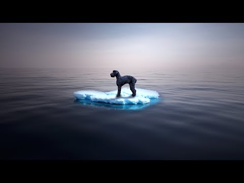 Mitten im Eismeer die Überraschung   dann wird es lebensgefährlich