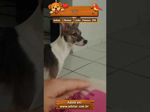 Vídeo de Fefê 