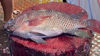 Fastest Big Tilapia Fish Cutting Skills In Fish Market | Fish Cutting Skills