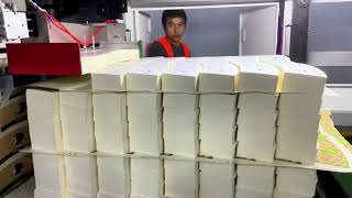 PY-HSP automatic die cutting&stripping&wooden palletizing machine 