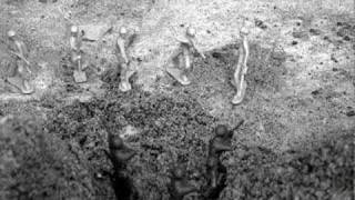 The March to Victory