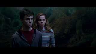 Harry Potter and the Order of the Phoenix. Deleted scenes