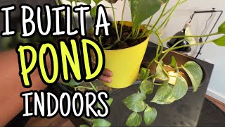 DIY POND indoor during winter season @lowes 