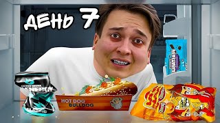 7 ДНЕЙ ЕМ ЕДУ ТОЛЬКО от БЛОГЕРОВ