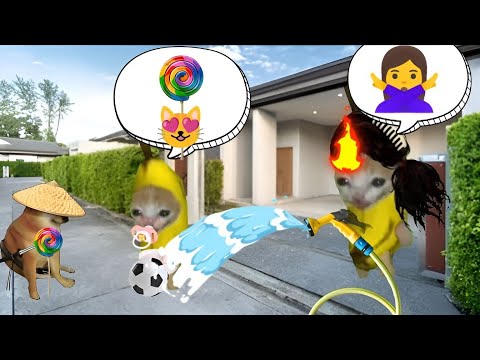 Banana cat crying evil cheems#babybananacat #happycat #bananacat #xosen7