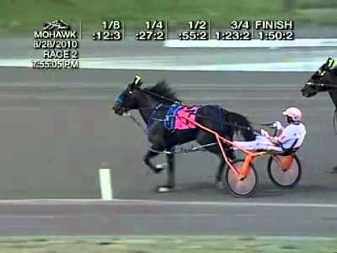 Big Jim - Metro Pace